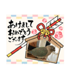 ウロコインコさん時々こざくらさん。（個別スタンプ：40）