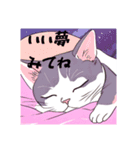 可愛いようで可愛くない猫2（個別スタンプ：12）