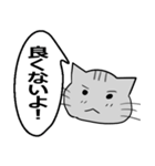 ひと言伝えるふきだしネコ 2（個別スタンプ：3）