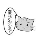 ひと言伝えるふきだしネコ 2（個別スタンプ：30）