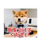 仕事好きな柴犬スタンプ（個別スタンプ：5）