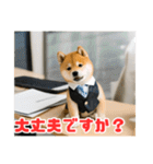 仕事好きな柴犬スタンプ（個別スタンプ：10）