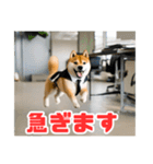 仕事好きな柴犬スタンプ（個別スタンプ：17）