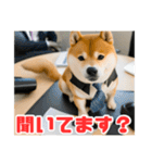 仕事好きな柴犬スタンプ（個別スタンプ：25）