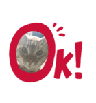 にゃおじぃの子分たち（個別スタンプ：5）