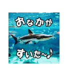 関西の風景（個別スタンプ：5）