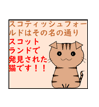 猫の 種類パート 2（個別スタンプ：1）