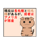 猫の 種類パート 2（個別スタンプ：3）