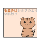 猫の 種類パート 2（個別スタンプ：4）