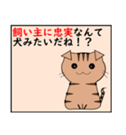 猫の 種類パート 2（個別スタンプ：6）