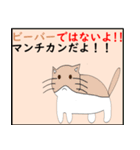 猫の 種類パート 2（個別スタンプ：7）