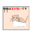 猫の 種類パート 2（個別スタンプ：8）