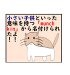 猫の 種類パート 2（個別スタンプ：9）