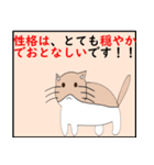 猫の 種類パート 2（個別スタンプ：11）