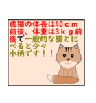 猫の 種類パート 2（個別スタンプ：34）