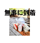 電球君、いつもの挨拶(秋・冬)（個別スタンプ：2）