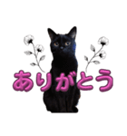 S家の黒猫の福ちゃん(よく使う言葉)（個別スタンプ：3）