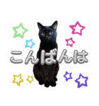 S家の黒猫の福ちゃん(よく使う言葉)（個別スタンプ：6）