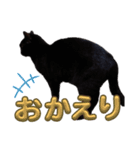 S家の黒猫の福ちゃん(よく使う言葉)（個別スタンプ：7）