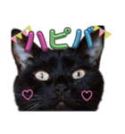 S家の黒猫の福ちゃん(よく使う言葉)（個別スタンプ：13）