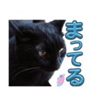 S家の黒猫の福ちゃん(よく使う言葉)（個別スタンプ：14）