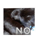 S家の黒猫の福ちゃん(よく使う言葉)（個別スタンプ：17）
