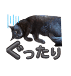 S家の黒猫の福ちゃん(よく使う言葉)（個別スタンプ：20）
