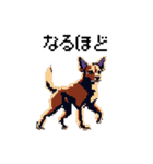 ドット絵の犬たち（個別スタンプ：12）