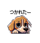 ドット絵の犬たち（個別スタンプ：15）