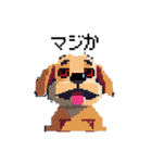 ドット絵の犬たち（個別スタンプ：19）