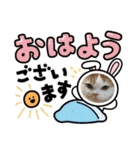 長脚マンチカンと立ち耳スコティッシュ（個別スタンプ：1）
