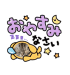 長脚マンチカンと立ち耳スコティッシュ（個別スタンプ：2）