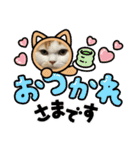 長脚マンチカンと立ち耳スコティッシュ（個別スタンプ：3）