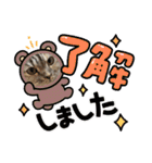長脚マンチカンと立ち耳スコティッシュ（個別スタンプ：4）