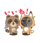 長脚マンチカンと立ち耳スコティッシュ（個別スタンプ：12）