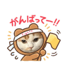 長脚マンチカンと立ち耳スコティッシュ（個別スタンプ：13）
