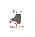 今すぐ集合（個別スタンプ：23）