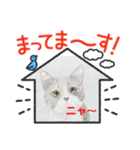 おおさかねこちゃん13（個別スタンプ：10）