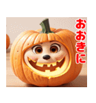 ハッピーハロウィン かぼちゃの関西弁（個別スタンプ：4）