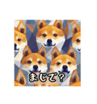 柴犬スタンプ  よく使う言葉（個別スタンプ：13）