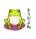 その蛙（個別スタンプ：8）
