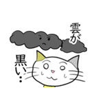 お天気伝える天気猫♪5（個別スタンプ：1）