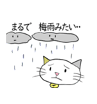 お天気伝える天気猫♪5（個別スタンプ：12）