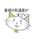 お天気伝える天気猫♪5（個別スタンプ：15）