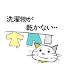 お天気伝える天気猫♪5（個別スタンプ：16）