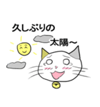 お天気伝える天気猫♪5（個別スタンプ：18）