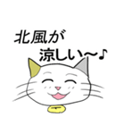 お天気伝える天気猫♪5（個別スタンプ：20）