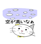 お天気伝える天気猫♪5（個別スタンプ：22）