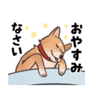 柴犬のコタロー・関西弁スタンプ（個別スタンプ：2）