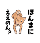 柴犬のコタロー・関西弁スタンプ（個別スタンプ：9）